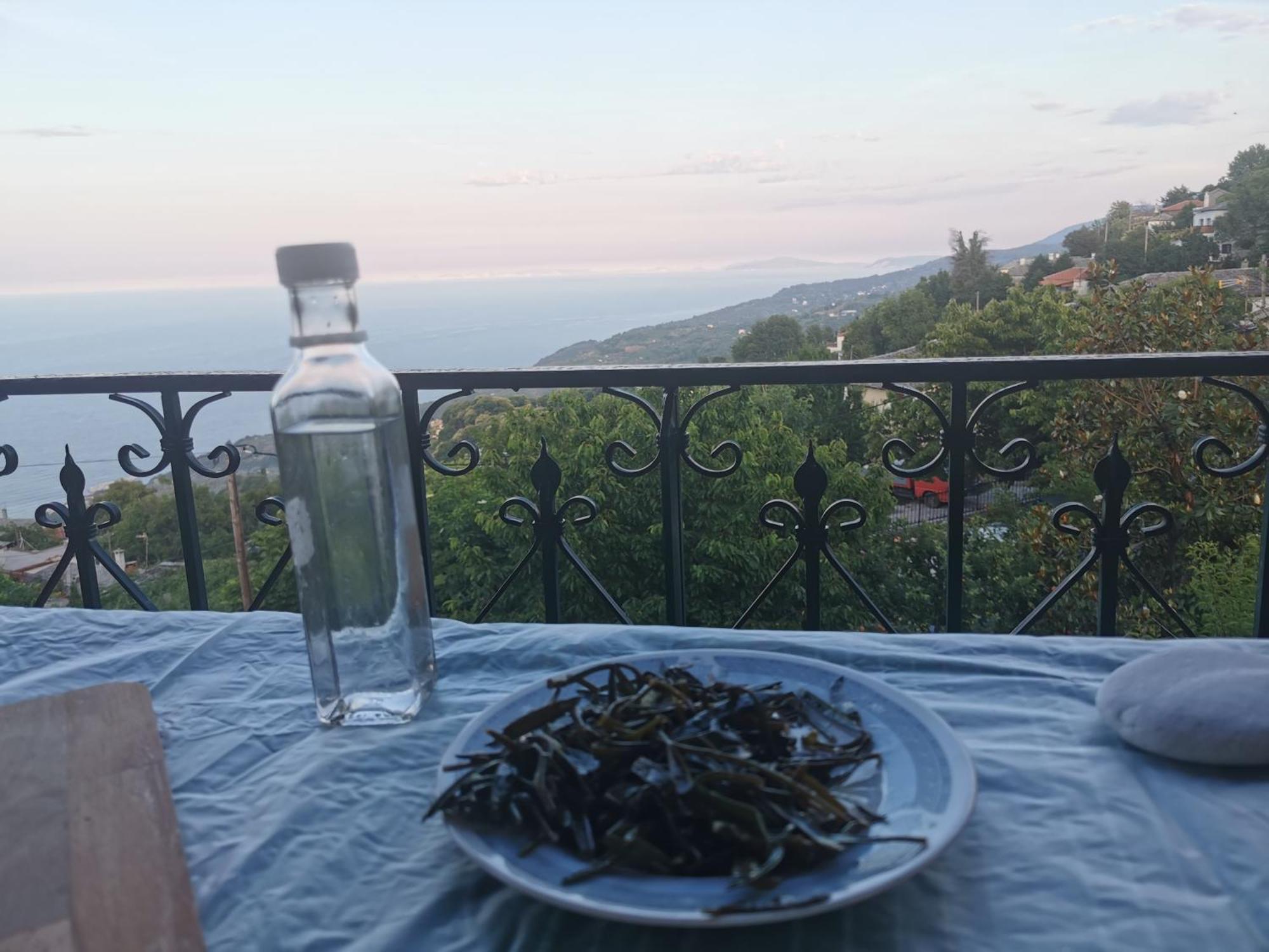 Guest House Pafili Загора Екстериор снимка