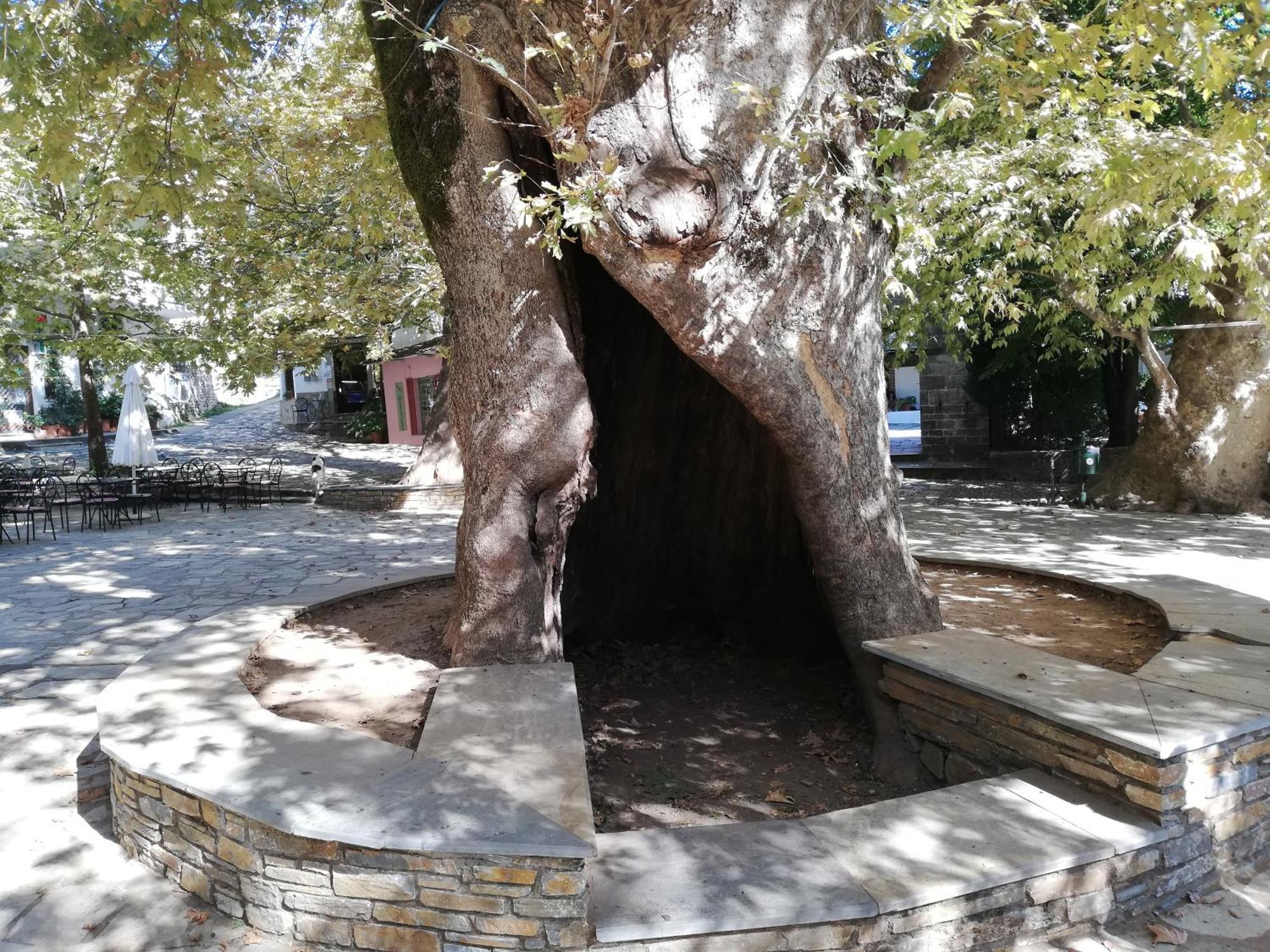 Guest House Pafili Загора Екстериор снимка