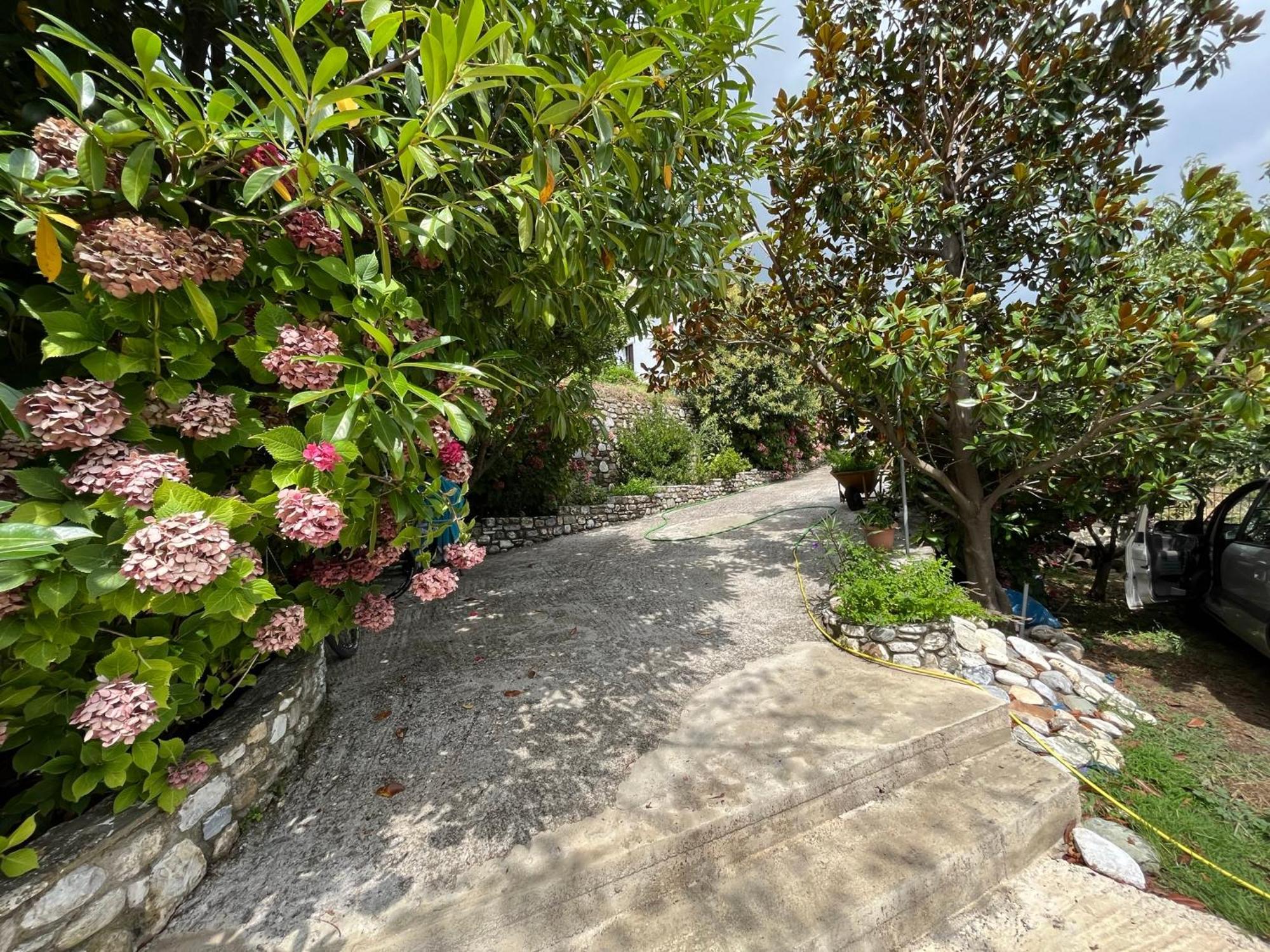 Guest House Pafili Загора Екстериор снимка